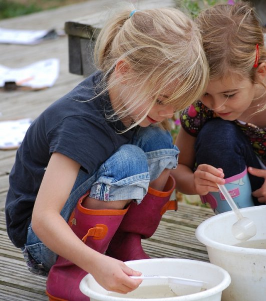 'Wild Woodies' Summer Holiday Clubs